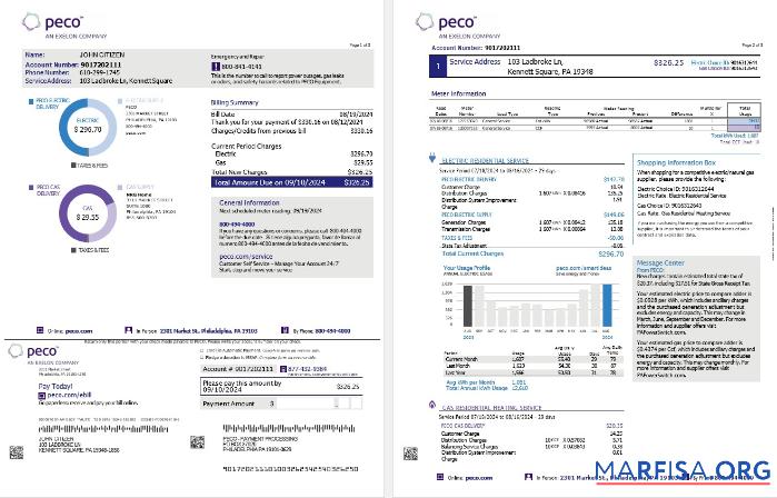 Printable USA Pennsylvania PECO electric and gas utility bill, 3 pages download for verification